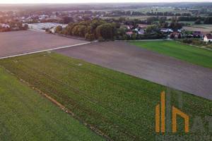 Działka na sprzedaż 1072m2 trzebnicki Oborniki Śląskie Golędzinów - zdjęcie 2