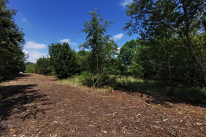 Działka na sprzedaż 862m2 częstochowski Blachownia Łojki Piastów - zdjęcie 2