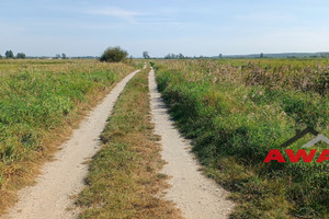 Działka na sprzedaż 19200m2 pucki Krokowa Karwieńskie Błoto Drugie - zdjęcie 2