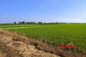 Działka na sprzedaż 800m2 pucki Puck Połczyno Polna - zdjęcie 2