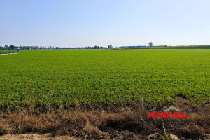 Działka na sprzedaż 800m2 pucki Puck Połczyno Polna - zdjęcie 3