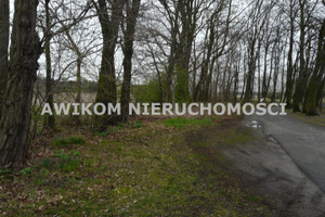 Działka na sprzedaż 3461m2 łowicki Nieborów - zdjęcie 1