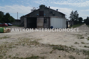 Komercyjne na sprzedaż 9800m2 sochaczewski Rybno Sarnów - zdjęcie 1