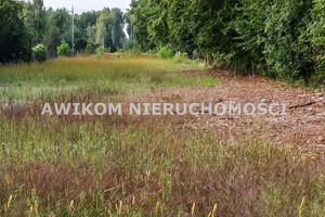 Działka na sprzedaż 11350m2 grodziski Grodzisk Mazowiecki Makówka - zdjęcie 1