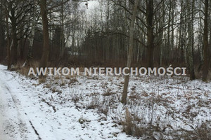 Działka na sprzedaż 5300m2 grodziski Grodzisk Mazowiecki - zdjęcie 1