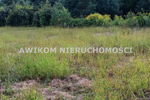 Działka na sprzedaż 11350m2 grodziski Grodzisk Mazowiecki Makówka - zdjęcie 2