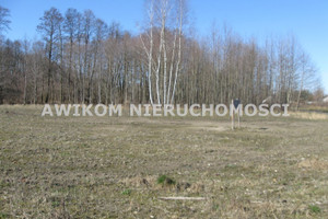 Działka na sprzedaż 4100m2 grodziski Grodzisk Mazowiecki Władków - zdjęcie 1