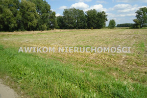 Działka na sprzedaż 6700m2 grodziski Grodzisk Mazowiecki Nowe Kozery - zdjęcie 2