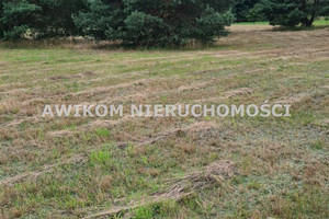 Działka na sprzedaż 13500m2 grodziski Jaktorów - zdjęcie 2