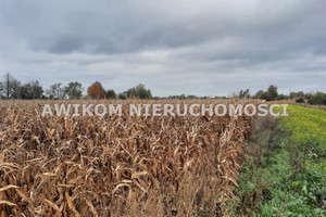 Działka na sprzedaż grodziski Baranów Basin - zdjęcie 1