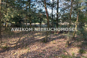 Działka na sprzedaż 3006m2 płocki Wyszogród Wilczkowo - zdjęcie 3