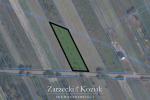 Działka na sprzedaż 2000m2 wyszkowski Brańszczyk Turzyn - zdjęcie 1