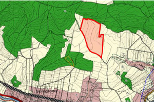Działka na sprzedaż 131700m2 kłodzki Kłodzko Gołogłowy - zdjęcie 2