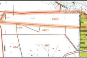 Działka na sprzedaż 41900m2 tczewski Gniew Opalenie - zdjęcie 2