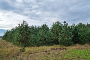 Działka na sprzedaż kartuski Sierakowice Skrzeszewo - zdjęcie 2