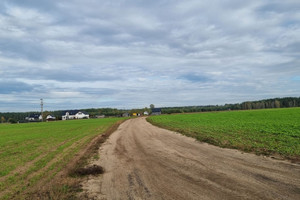 Działka na sprzedaż kartuski Sierakowice Skrzeszewo - zdjęcie 3