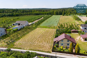 Działka na sprzedaż 8100m2 przysuski Gielniów Zielonka - zdjęcie 3