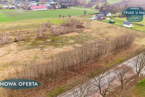 Działka na sprzedaż 4000m2 zduńskowolski Zapolice Beleń-Kolonia - zdjęcie 2