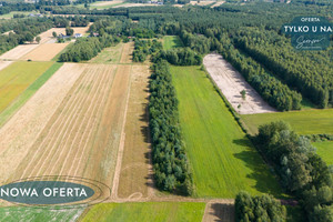 Działka na sprzedaż 26000m2 bełchatowski Zelów - zdjęcie 3