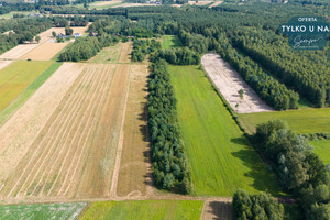 Działka na sprzedaż 26000m2 bełchatowski Zelów - zdjęcie 3