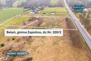 Działka na sprzedaż 4000m2 zduńskowolski Zapolice Beleń-Kolonia - zdjęcie 1