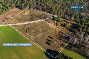 Działka na sprzedaż 13536m2 sieradzki Goszczanów Wilczków - zdjęcie 2