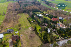 Działka na sprzedaż 12600m2 brzeziński Brzeziny Paprotnia - zdjęcie 2