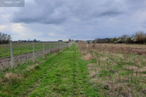 Działka na sprzedaż 1100m2 grójecki Chynów Barcice Drwalewskie - zdjęcie 3