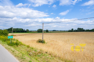 Działka na sprzedaż 12500m2 płoński Płońsk Brody Kwiatowa - zdjęcie 2