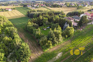 Działka na sprzedaż 9300m2 wielicki Kłaj Brzezie - zdjęcie 3