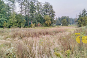 Działka na sprzedaż 2966m2 miński Latowicz Oleksianka - zdjęcie 1