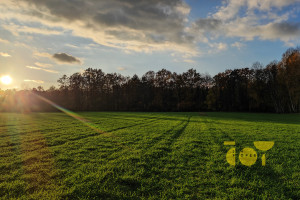 Działka na sprzedaż 3000m2 płoński Nowe Miasto Przepitki - zdjęcie 3