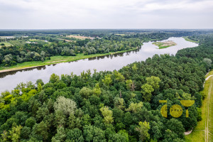 Działka na sprzedaż 1290m2 legionowski Wieliszew Sikory Główna - zdjęcie 3