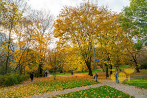 Mieszkanie na sprzedaż 59m2 Warszawa Mokotów Sielce Konduktorska - zdjęcie 3