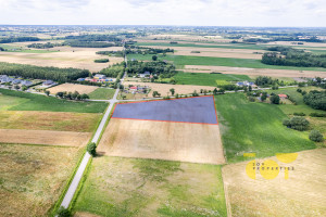 Działka na sprzedaż 12500m2 płoński Płońsk Brody Kwiatowa - zdjęcie 1