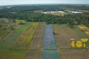 Działka na sprzedaż 10598m2 aleksandrowski Ciechocinek Gen. Józefa Bema - zdjęcie 2