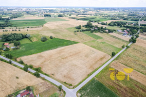 Działka na sprzedaż 12500m2 płoński Płońsk Brody Kwiatowa - zdjęcie 3