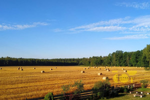 Działka na sprzedaż 9000m2 płoński Nowe Miasto Przepitki - zdjęcie 2