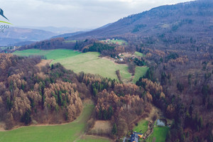 Działka na sprzedaż 12500m2 cieszyński Goleszów Cisownica - zdjęcie 3