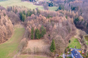 Działka na sprzedaż 12500m2 cieszyński Goleszów Cisownica - zdjęcie 2