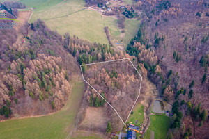 Działka na sprzedaż 12500m2 cieszyński Goleszów Cisownica - zdjęcie 1