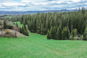 Działka na sprzedaż 1486m2 tatrzański Zakopane - zdjęcie 1