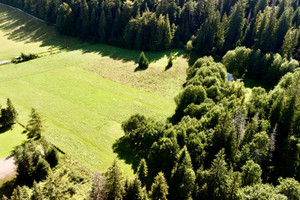 Działka na sprzedaż 1934m2 tatrzański Zakopane - zdjęcie 3