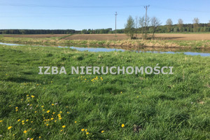 Działka na sprzedaż 4305m2 ełcki Kalinowo Kucze - zdjęcie 2