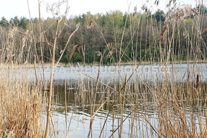 Działka na sprzedaż 5023m2 ełcki Stare Juchy Grabnik - zdjęcie 1