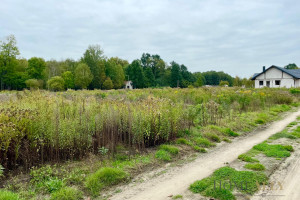 Działka na sprzedaż wołomiński Strachówka Krawcowizna - zdjęcie 3