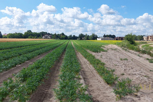 Działka na sprzedaż 10185m2 nowodworski Zakroczym Warszawska - zdjęcie 1