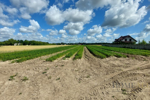 Działka na sprzedaż 10185m2 nowodworski Zakroczym Warszawska - zdjęcie 2