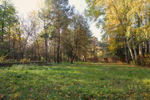 Działka na sprzedaż pułtuski Obryte Zambski Kościelne - zdjęcie 1