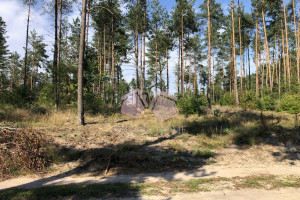 Działka na sprzedaż kościerski Karsin Wygoda - zdjęcie 1